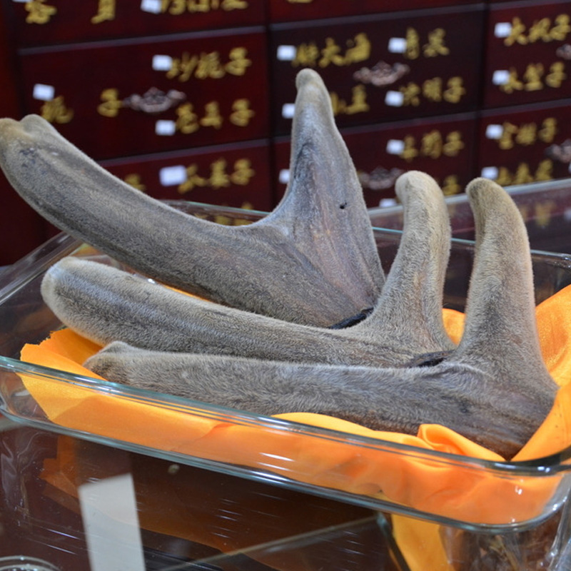 鹿茸